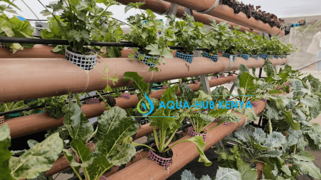 Hydroponic systems