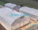 Solar dryer for Sale in Kenya