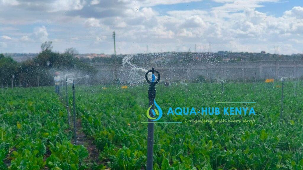 Sprinklers for Irrigation in Kenya