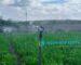 Sprinklers for Irrigation in Kenya
