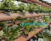 Hydroponic systems