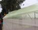 Greenhouse Polythene Film