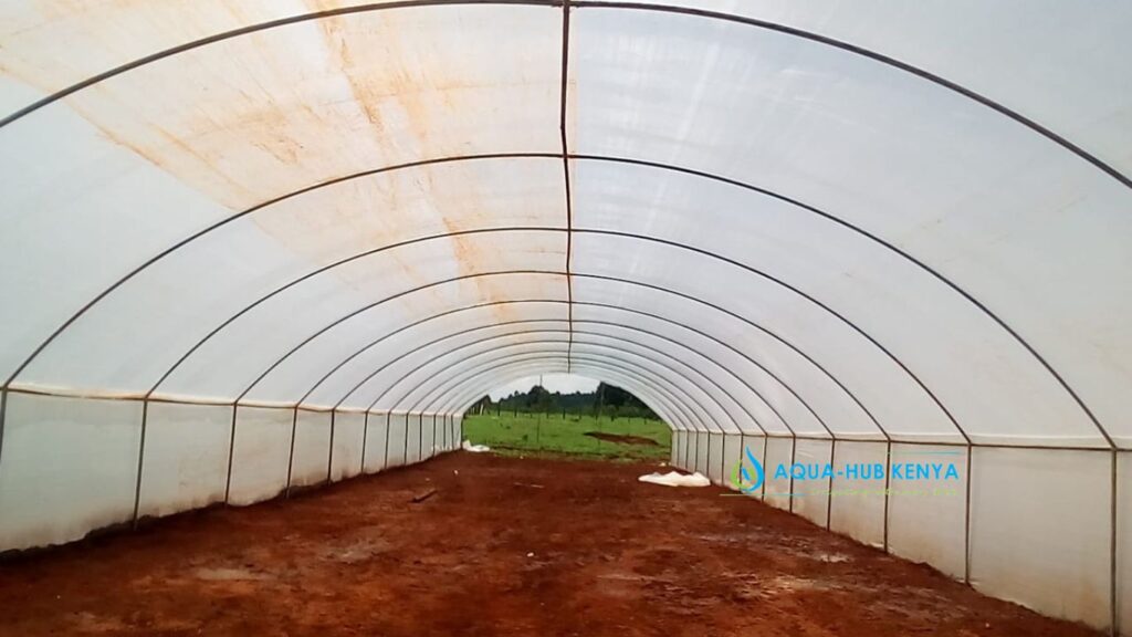 greenhouse in Kenya