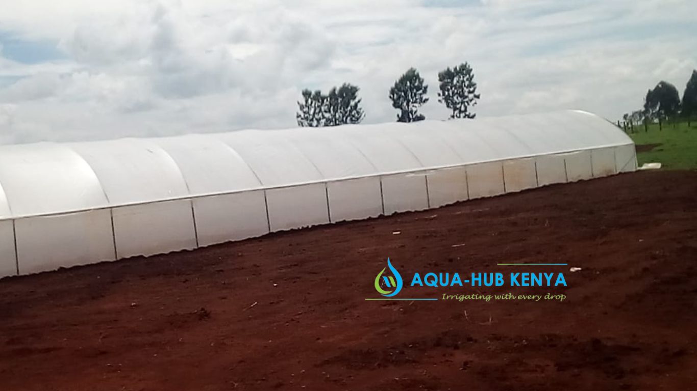 greenhouse in Kenya