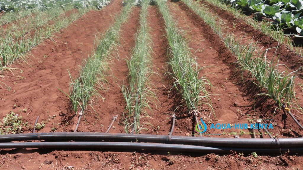 Crops for Drip Irrigation