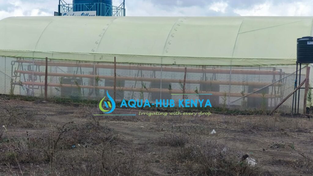 greenhouse in Kenya