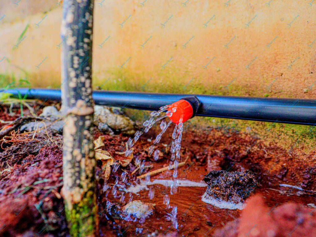 Drip Kits for Fruits and Trees