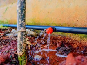 Button Dripper Irrigation in Kenya