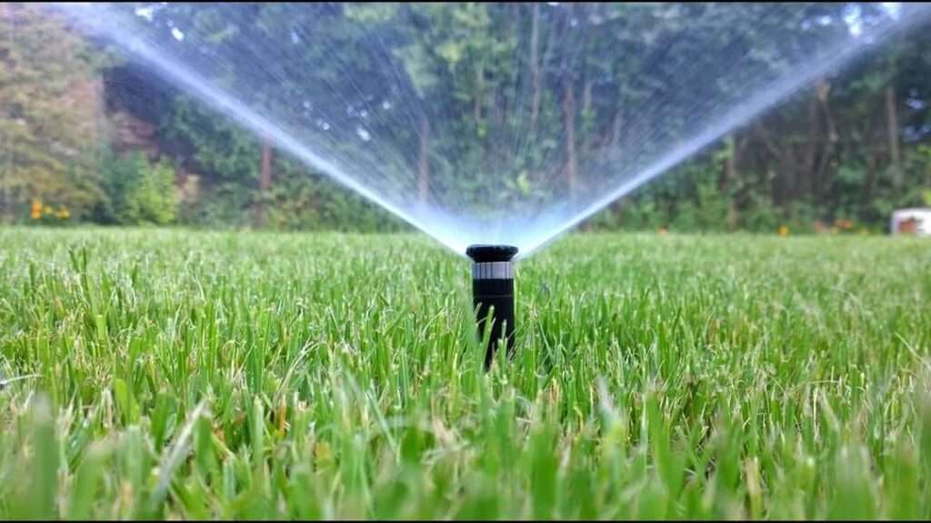 Lawn Irrigation