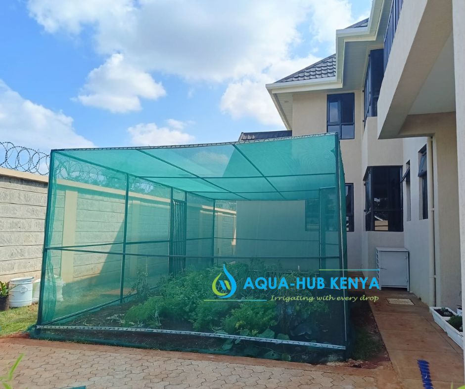 Shade House Structures in Kenya