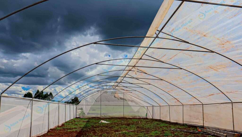 Constructing Greenhouses in Kenya