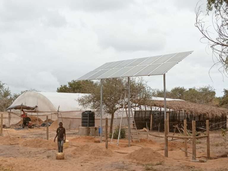 Solar Powered Drip Irrigation System In Kenya 0790719020 Solar powered drip irrigation system in kenya 0790719020