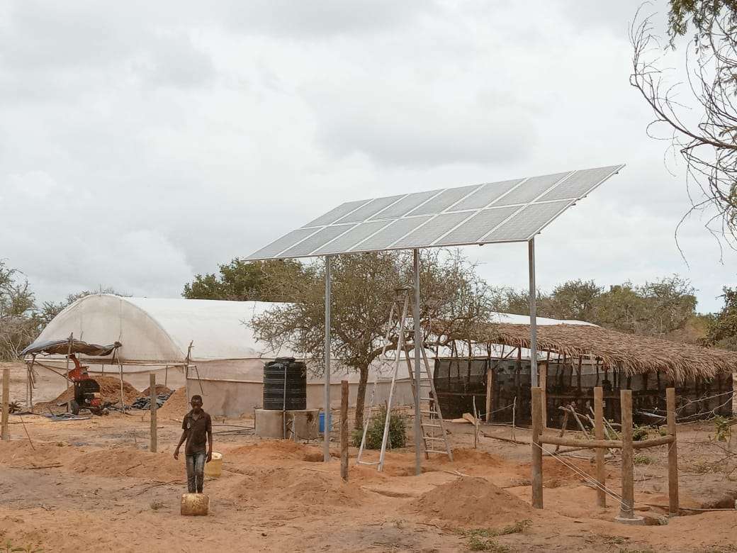 Solar-Powered Drip Irrigation