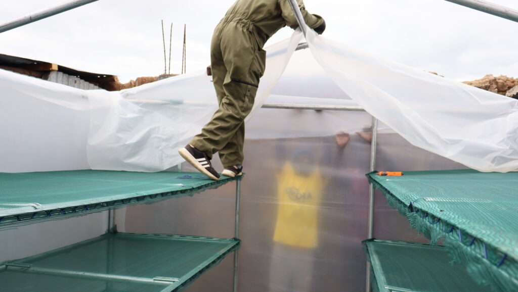Vegetable Dryer