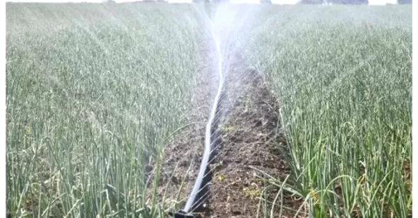 Rain Hose Kits