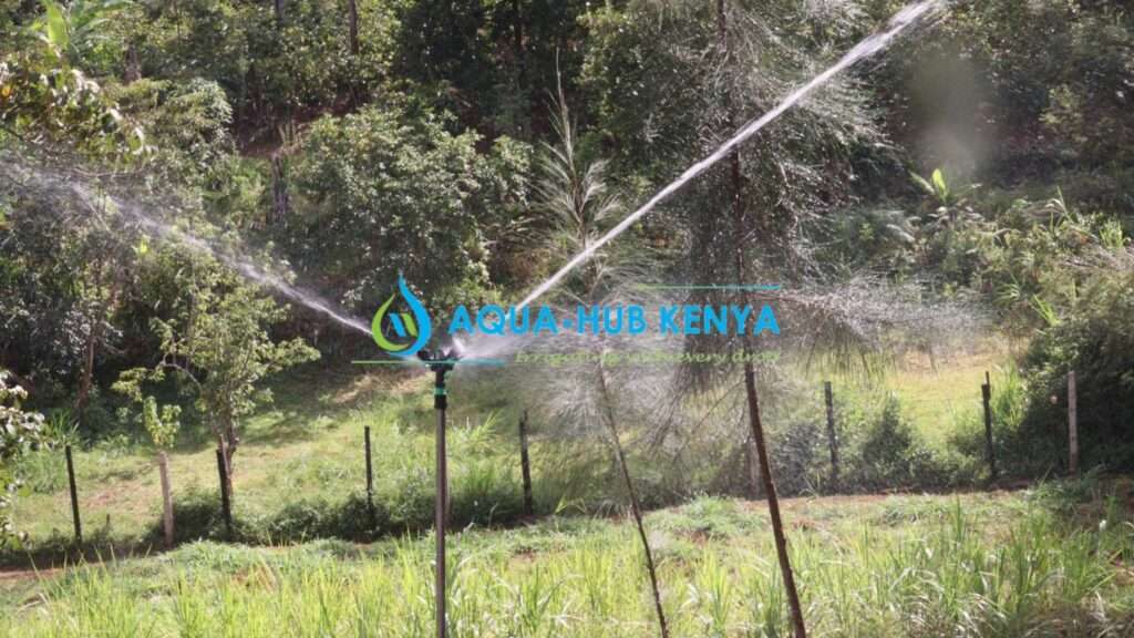 Sprinkler Installation