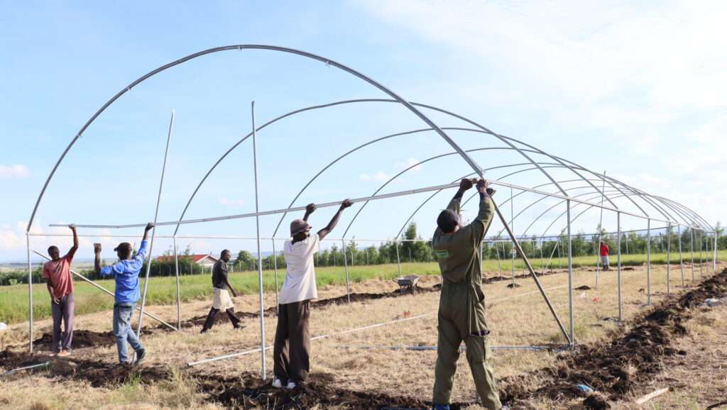 Greenhouse Installation