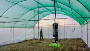 Greenhouse Installation