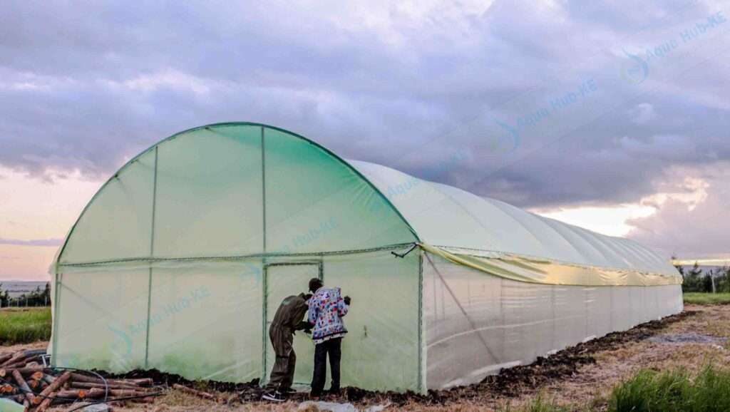 Greenhouse Installation