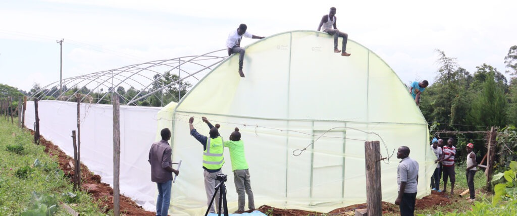 Construction of greenhouses in Kenya