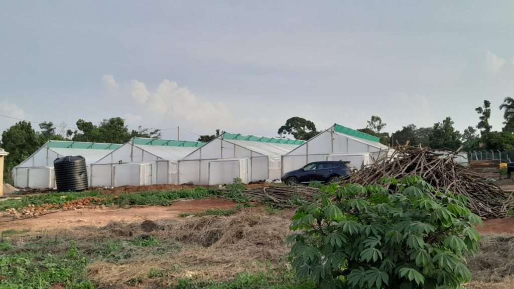 Wooden Greenhouse Supplier in Kenya