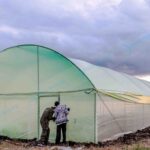 Metallic Greenhouses For Sale in Kenya