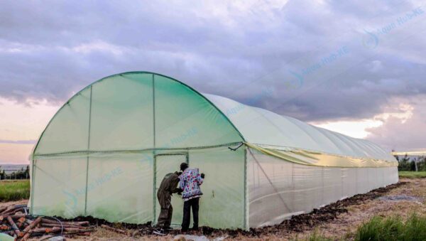Metallic Greenhouses For Sale in Kenya Metallic Greenhouses For Sale in Kenya