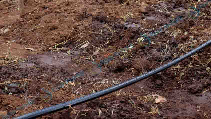 Rain Hose Tapes