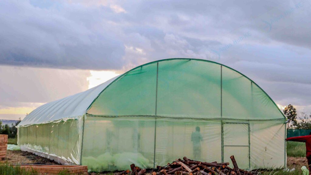Greenhouse Polythene Covers in Kenya
