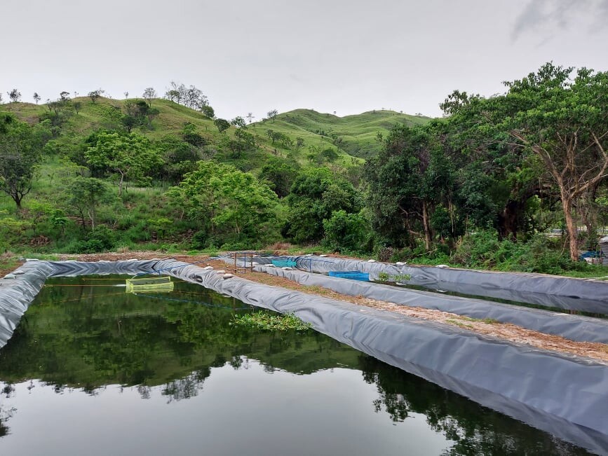 Fishpond liners