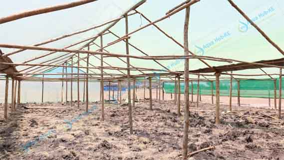 Wooden Greenhouse Construction