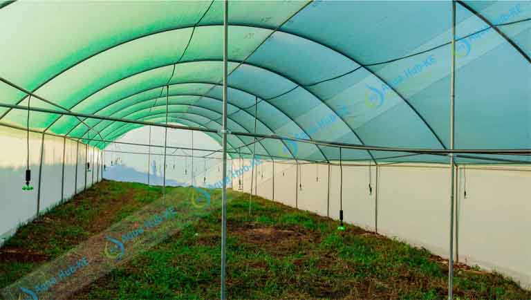 Greenhouse Irrigation Systems