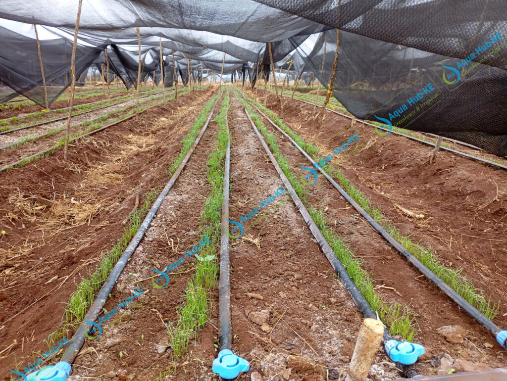 Custom Shade Nets