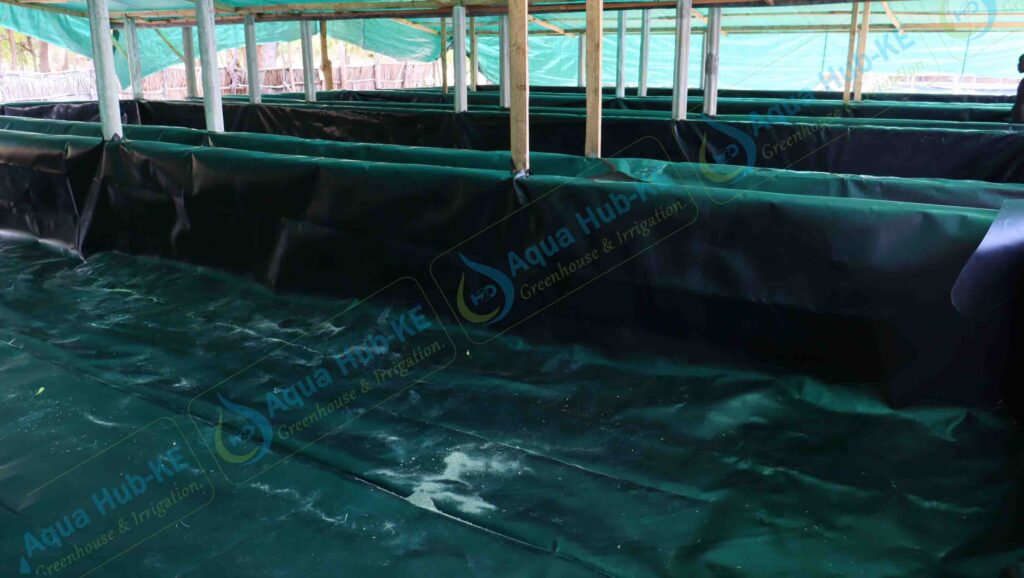 Best Dam Liner in Kenya for Water Needs