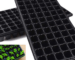 How to Raise Seedlings on Planting Trays