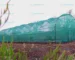 Best Shade nets in Kenya