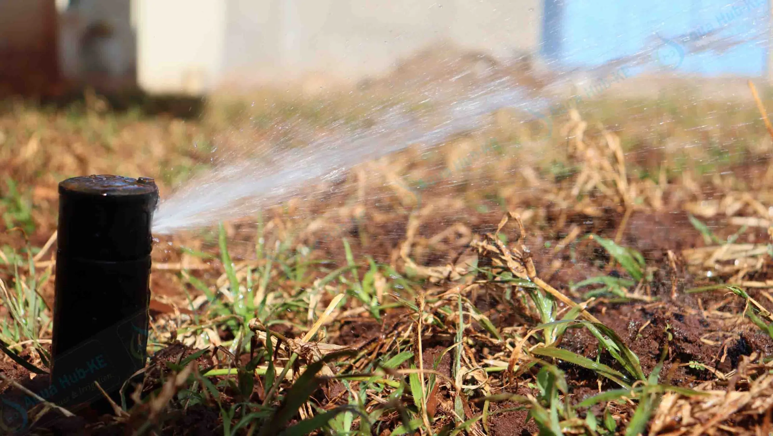 Pop-up Sprinkler Prices in Kenya
