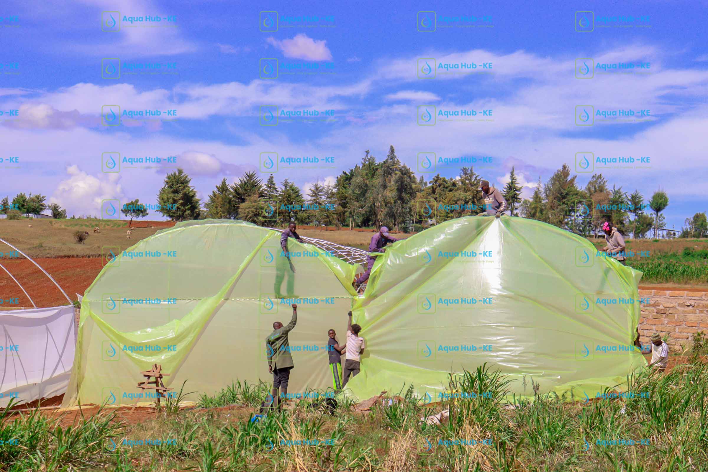 Greenhouse Polythene Sheet Price in Kenya