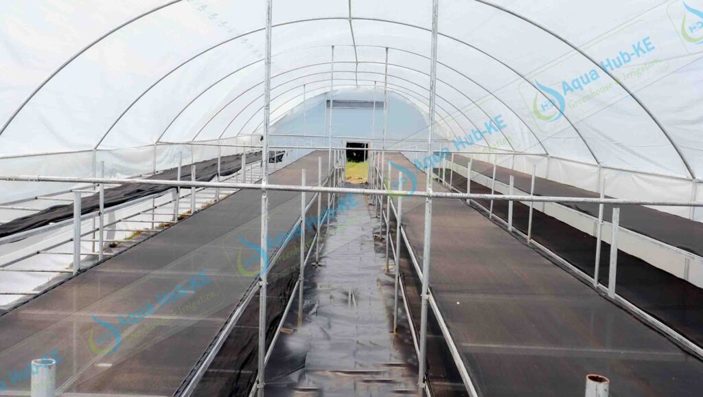 Solar Food Dryers in Kenya