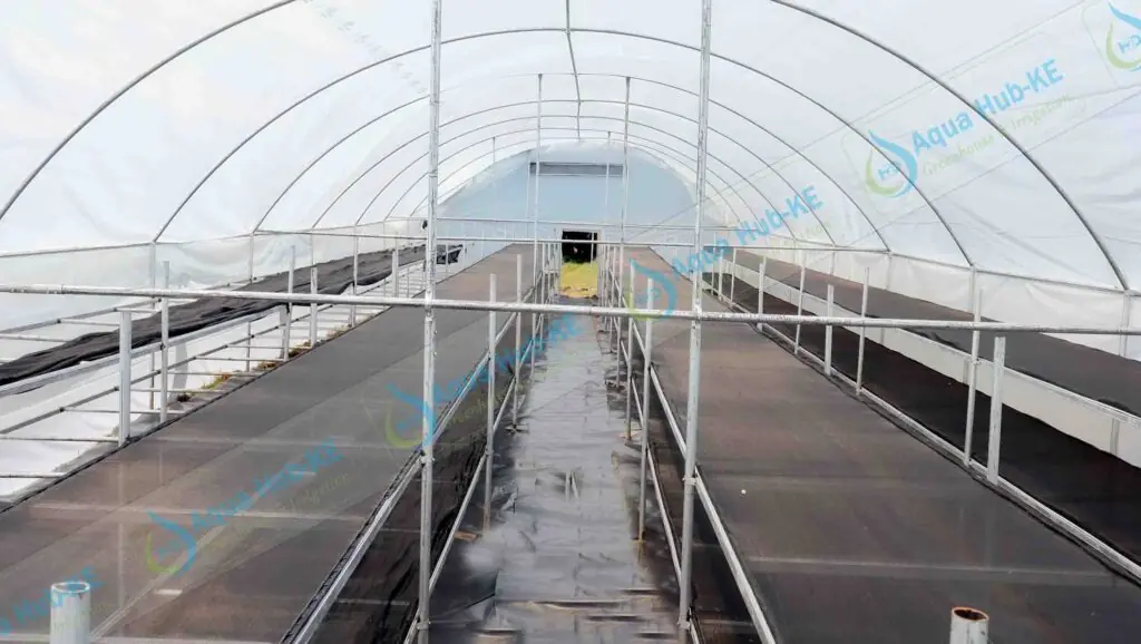 Solar Food Dryers in Kenya