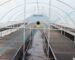 Solar Food Dryers in Kenya