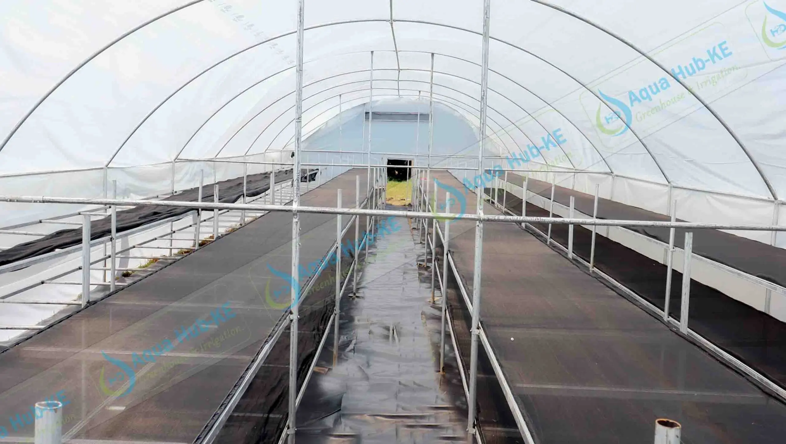 Solar Food Dryers in Kenya