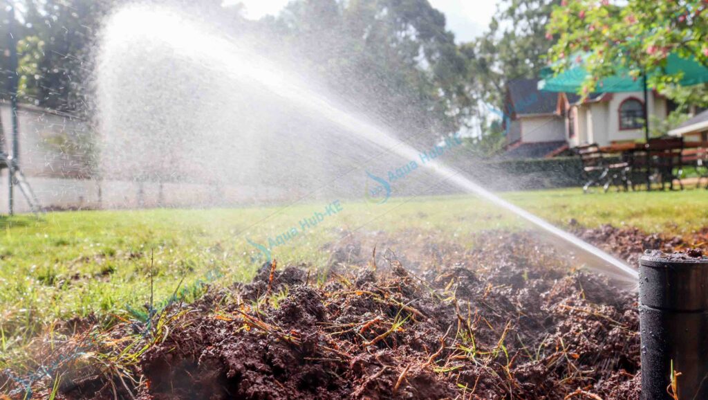 PGP Pop up Sprinklers in Kenya
