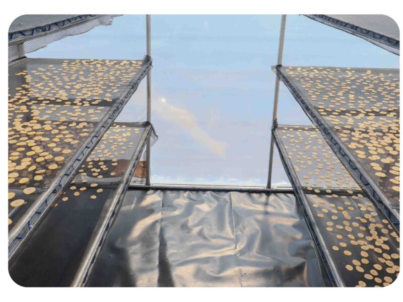 Solar Dryers for fresh produce