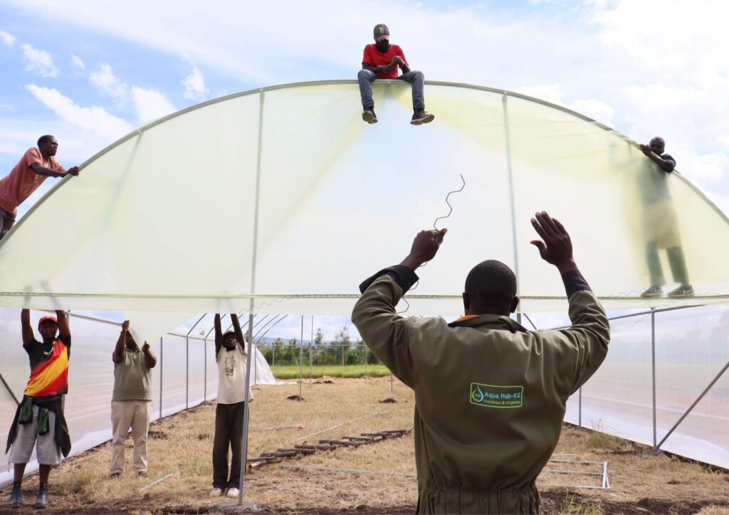 Greenhouses by Aqua Hub Kenya