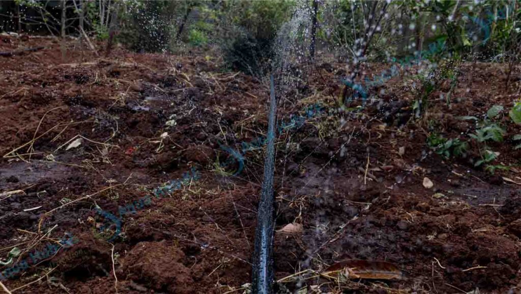 Rain Hose Pipe Price in Kenya