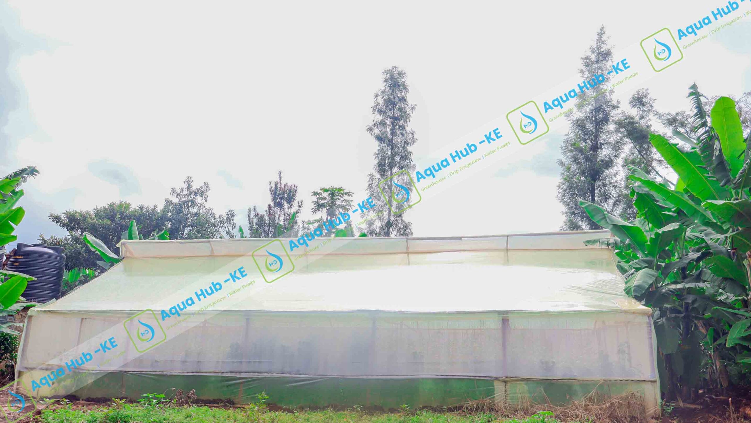 Greenhouse Farming on low budget