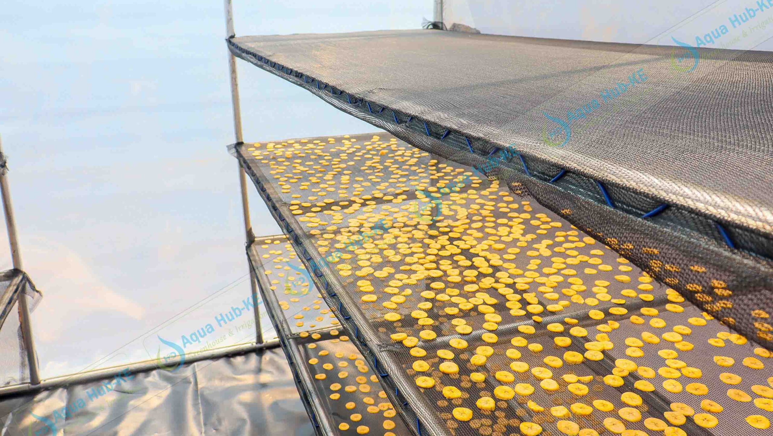 Solar Drying in Kenya