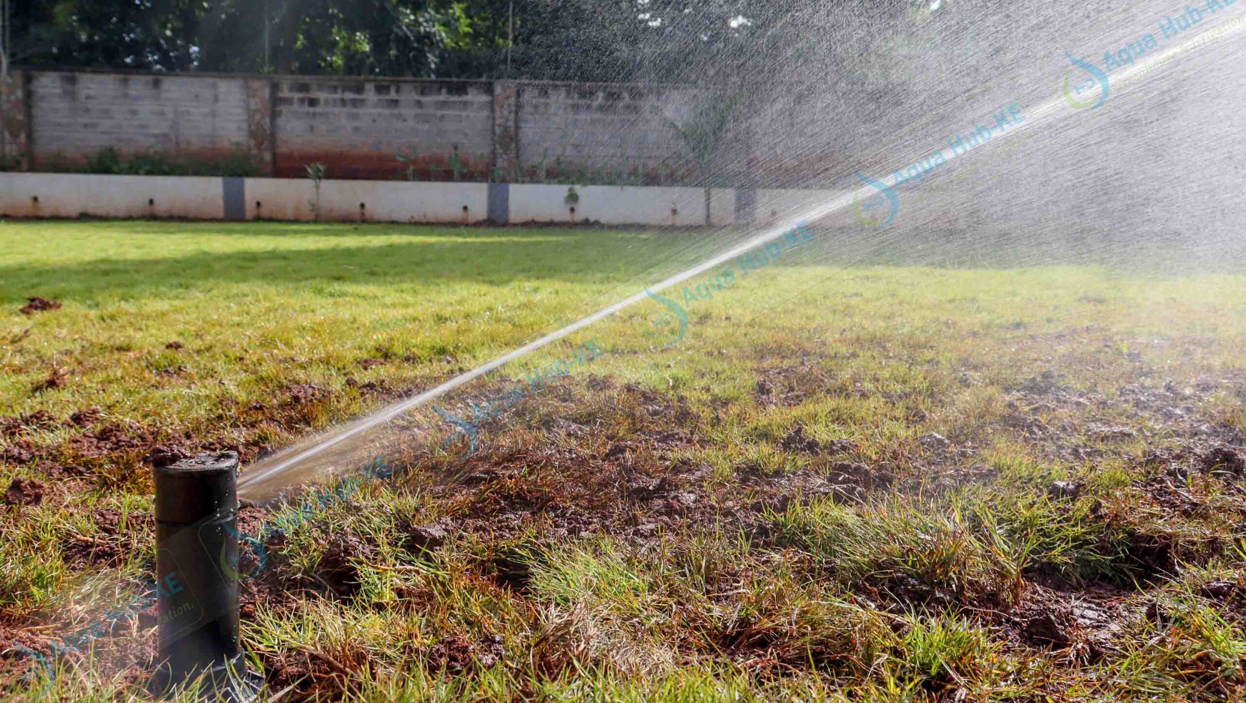lawn irrigation system in Kenya