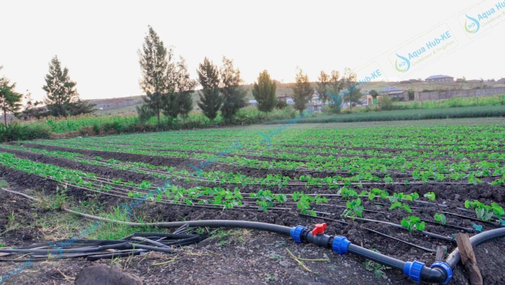 Drip Irrigation Kit Price in Kenya